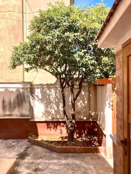 Villa Orlando Mondello Palermo Esterno foto